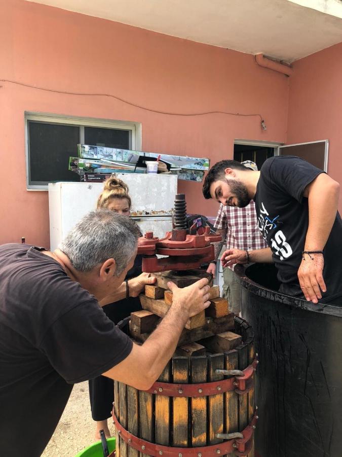 מרטיאס Anna Studios מראה חיצוני תמונה