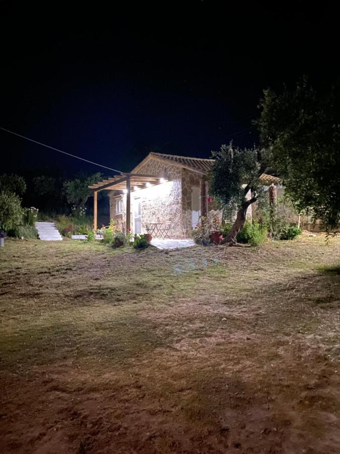 מרטיאס Anna Studios מראה חיצוני תמונה